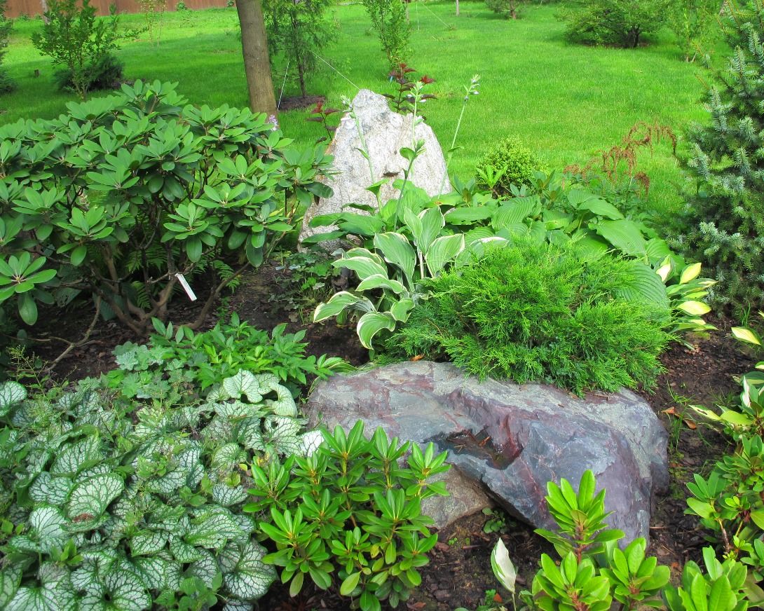 Проект Переделкино